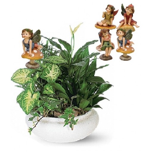 Our Healthy "Fairy Dust Wishes" Dish Garden Planter