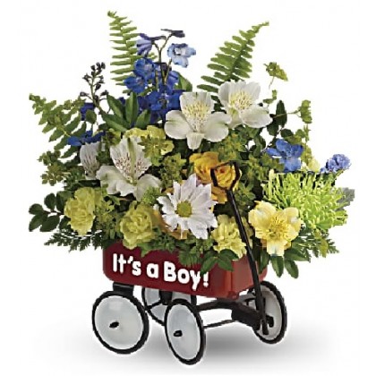It's a Boy!  Welcome Wagon Bouquet by Teleflora