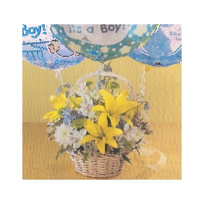 A Baby Boy "Twinkle Toes" Basket