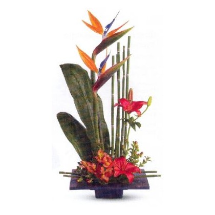 Tropical Medicine Bouquet