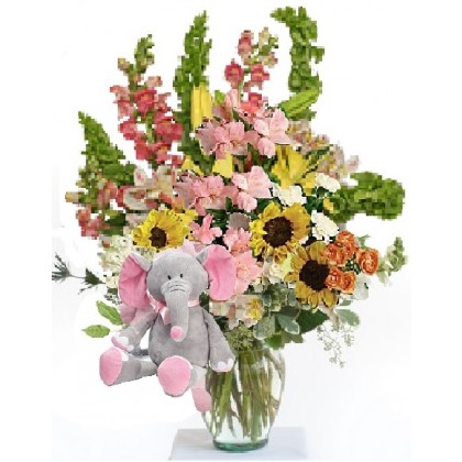 Our "Pretty Happy...with Toodles"  Baby Girl Bouquet