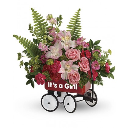 It's a Girl! Welcome Wagon Bouquet by Teleflora