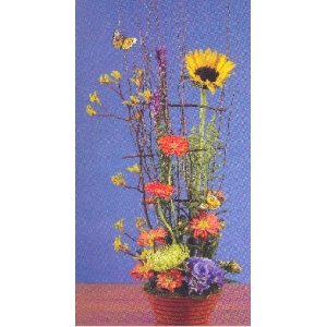 Our Craft Garden Collection