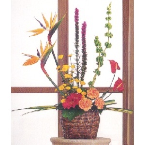 Our Vivid Tropical Arrangement