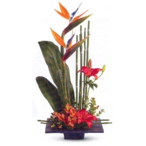 Tropical Medicine Bouquet