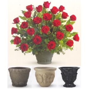 Rose Tribute