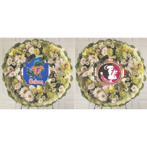 Gator, Seminole, TampaBay Buccaneers and Detriot Tigers Memorial