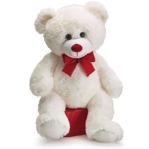 Plush Teddy