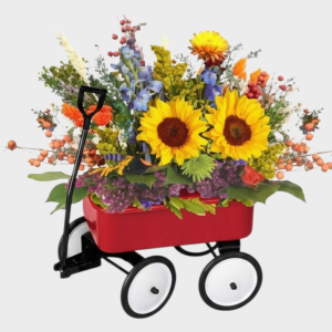 Our "Fun 'n the Sun" Metal Red Wagon